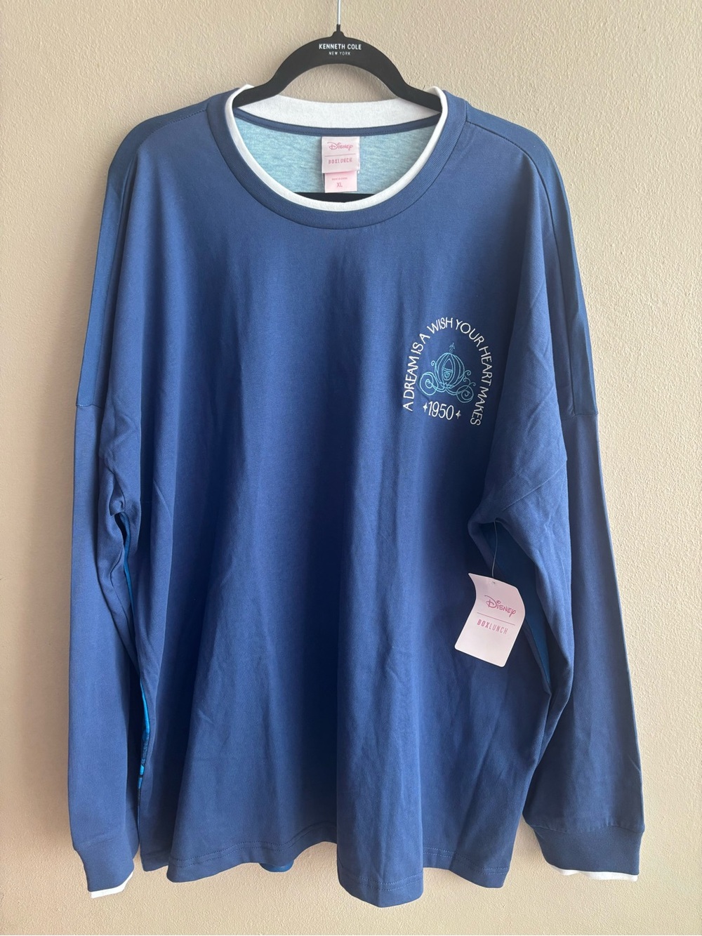 Disney x Boxlunch Exclusive Princess Cinderella Scenic Long Sleeve Shirt